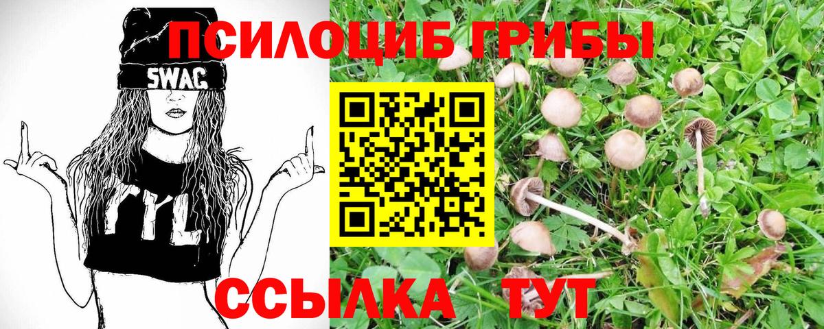 Галлюциногенные грибы прущие грибы Саранск